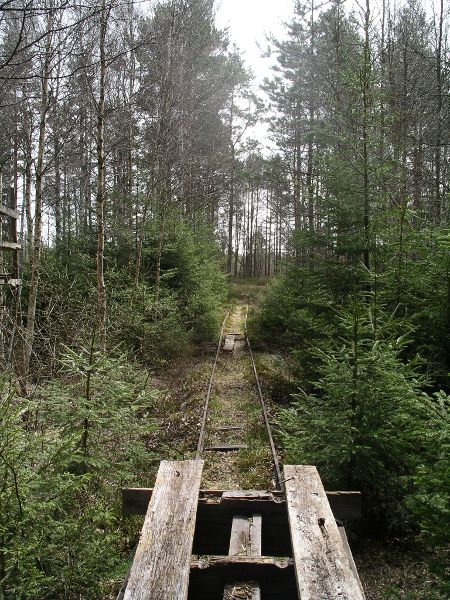 Torstamåla Fly, vagn